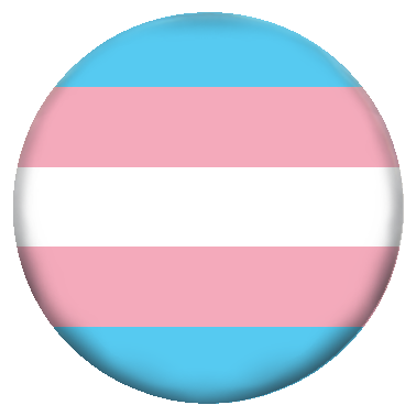 Trans Flagge